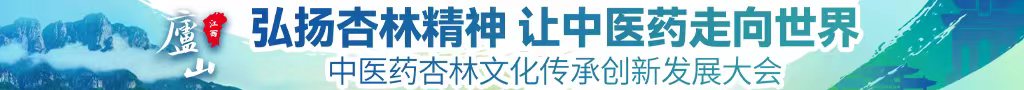 国内大鸡巴操浪逼视频中医药杏林文化传承创新发展大会